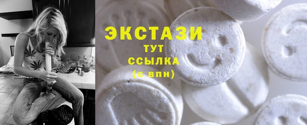 дживик Бородино