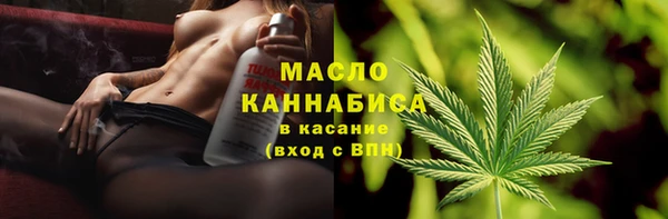 дживик Бородино