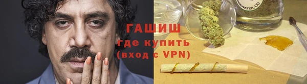 дживик Бородино