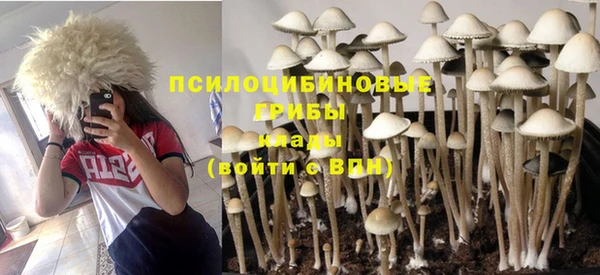 дживик Бородино