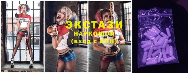 дживик Бородино