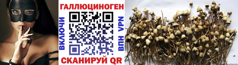 Псилоцибиновые грибы прущие грибы  Купить где  Кимры 